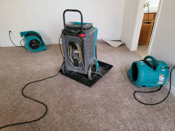 Best Water damage restoration process  in Eyota, MN
