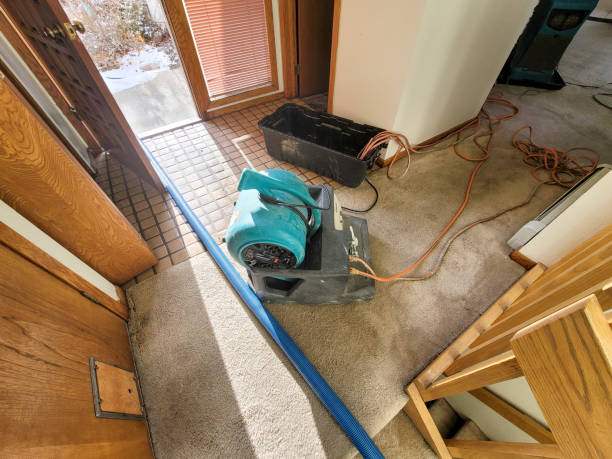 Best Sewage cleanup and water damage restoration  in Eyota, MN