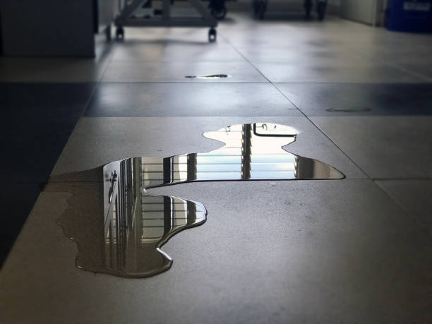Best Carpet water damage restoration  in Eyota, MN